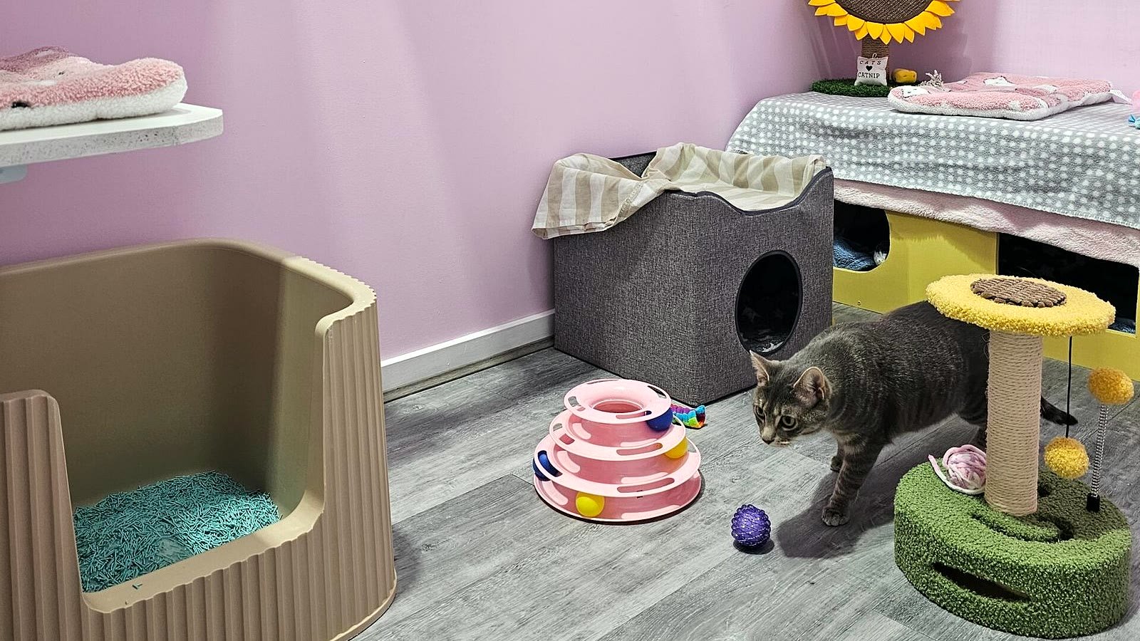 Deluxe Villa at Neko Cat Hotel