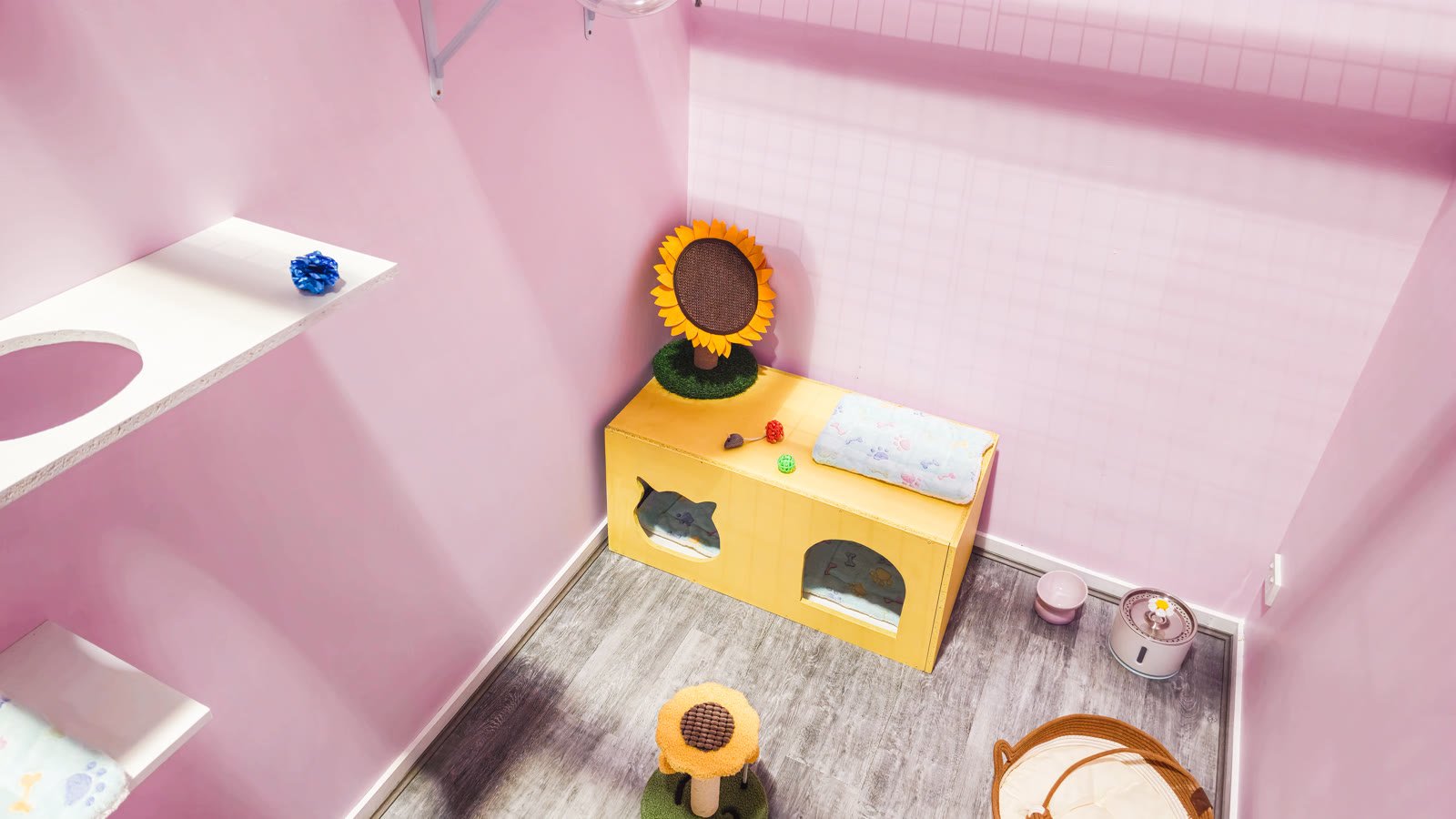 Deluxe Villa room setup at Neko Cat Hotel