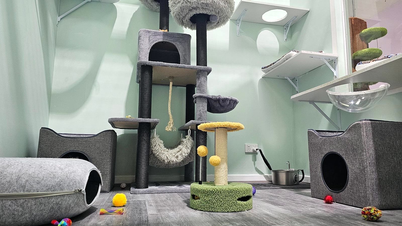 Executive Suite at Neko Cat Hotel