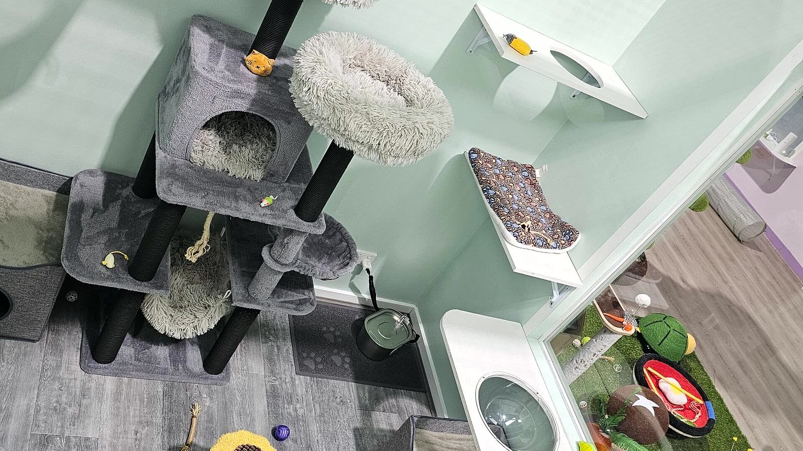 Executive Suite interior at Neko Cat Hotel, cat boarding in Derrimut