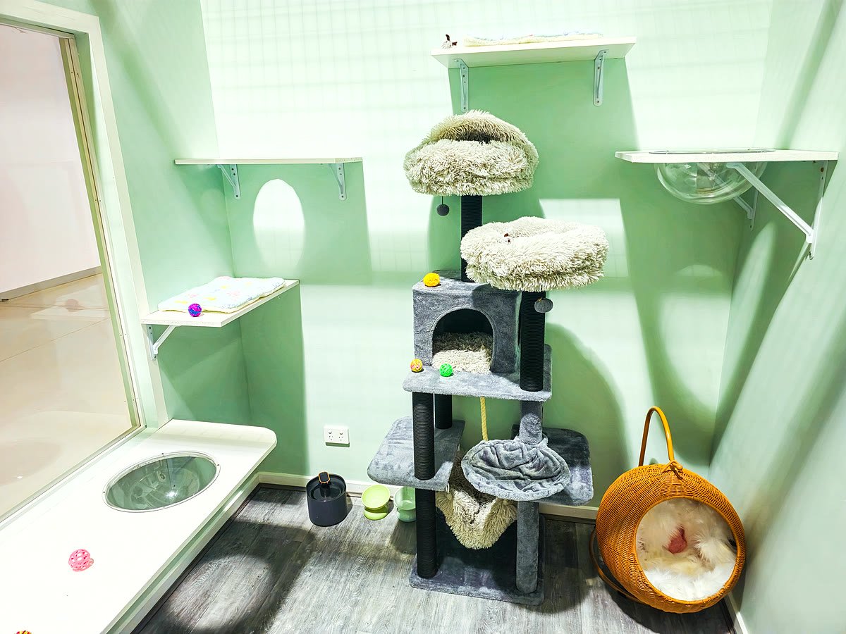 Executive Suite empty room at Neko Cat Hotel