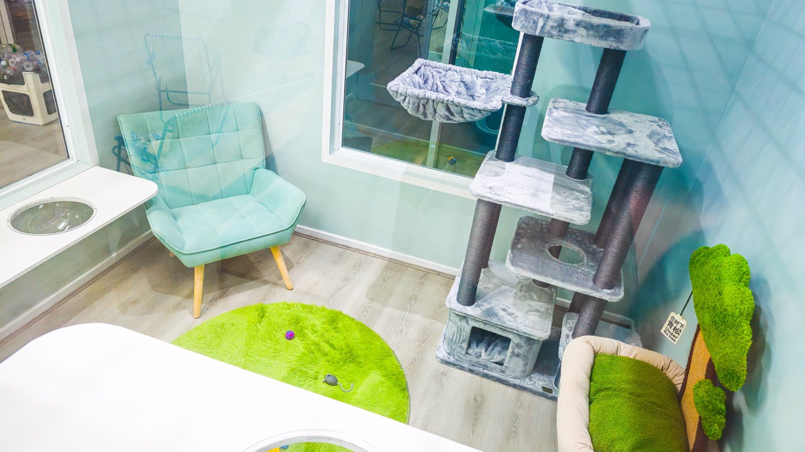 Presidential Suite — Teal room at Neko Cat Hotel