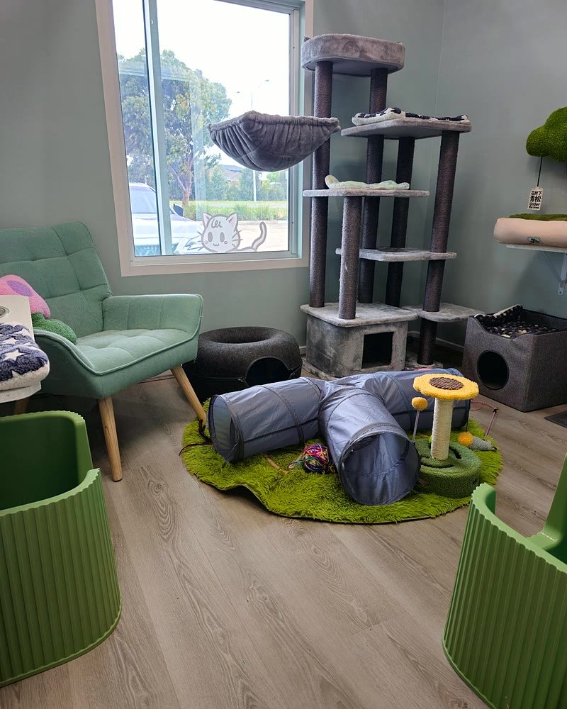 Presidential Suite — Teal room